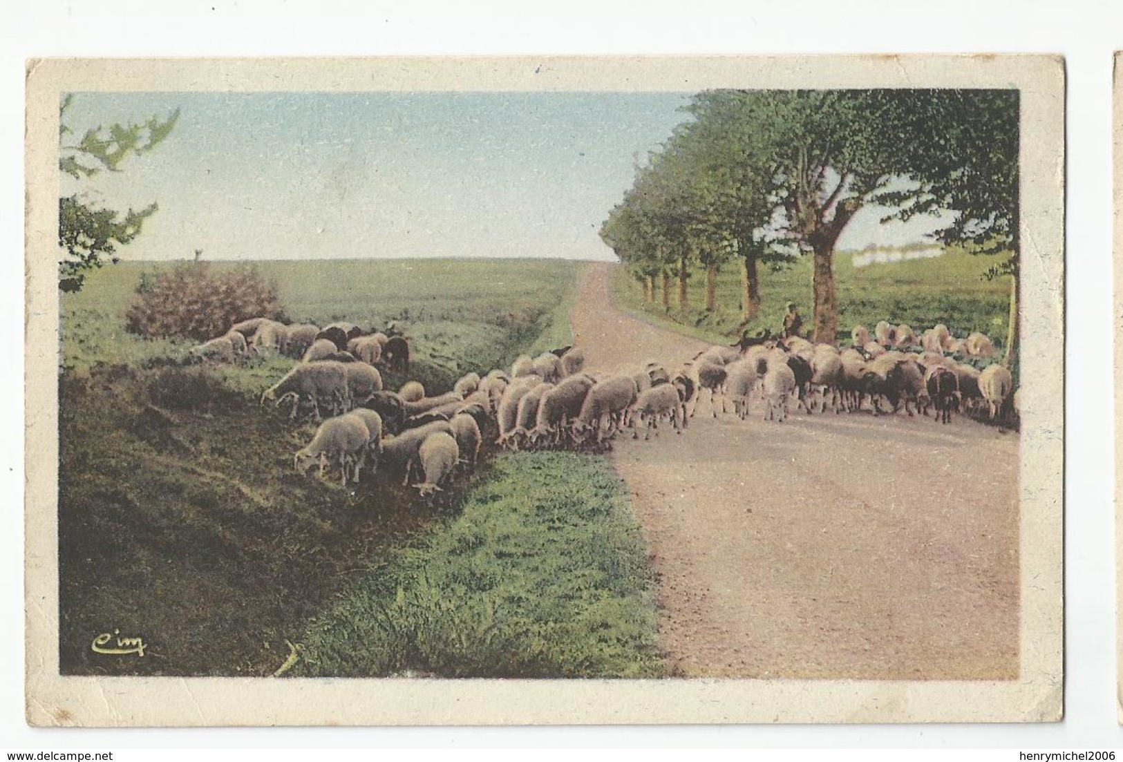 18 Cher Les Moutons Du Berry En Flaneries - Sonstige & Ohne Zuordnung