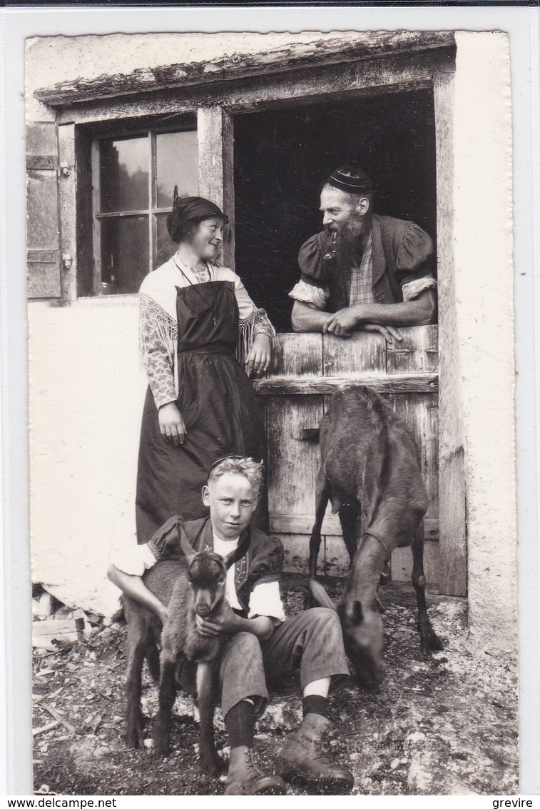 Scène Campagnarde En Gruyère. Région Des Sciernes D'Albeuve ? Chèvres. Costumes - Albeuve