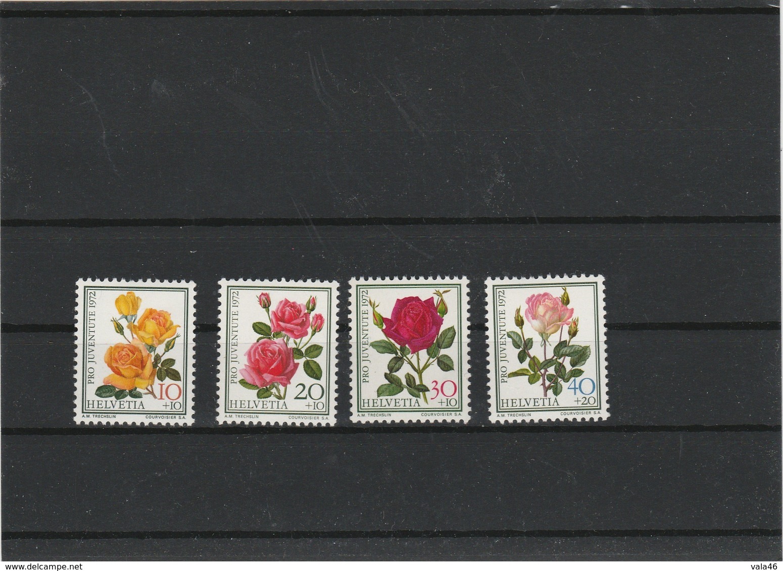 THEME FLORE  -SUISSE   ROSES    JOLI LOT - Andere & Zonder Classificatie