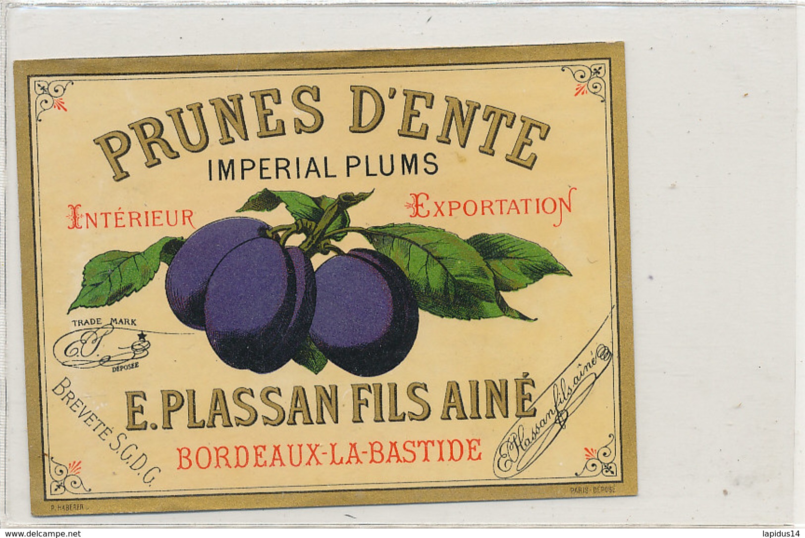 AN 777  / ETIQUETTE -   PRUNES D'ENTE E. PLASSAN FILS AINE  BORDEAUX -LA-BASTIDE - Fruits Et Légumes