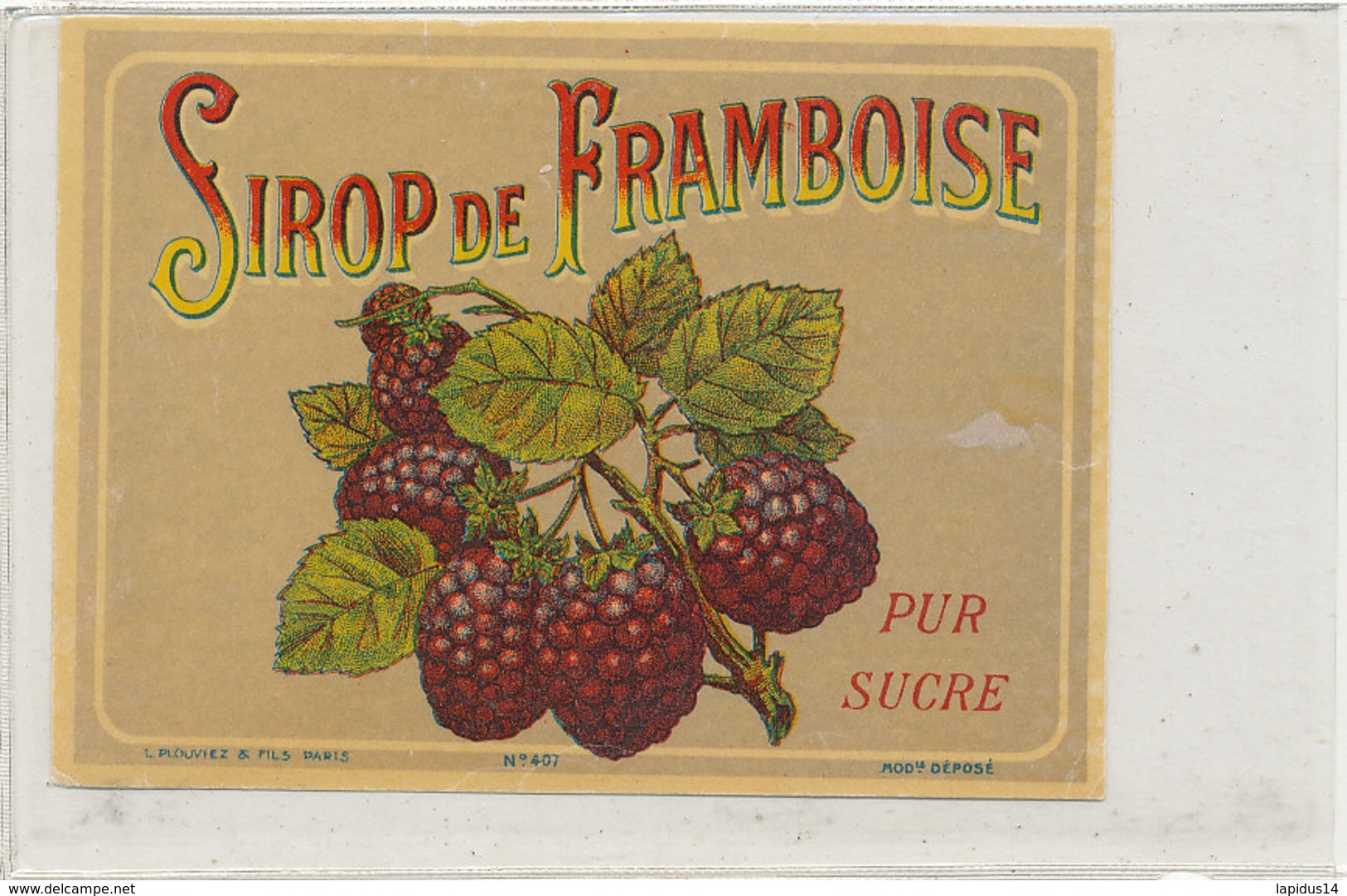 AN 796  / ETIQUETTE   SIROP DE - FRAMBOISE     N° 407 - Fruits Et Légumes