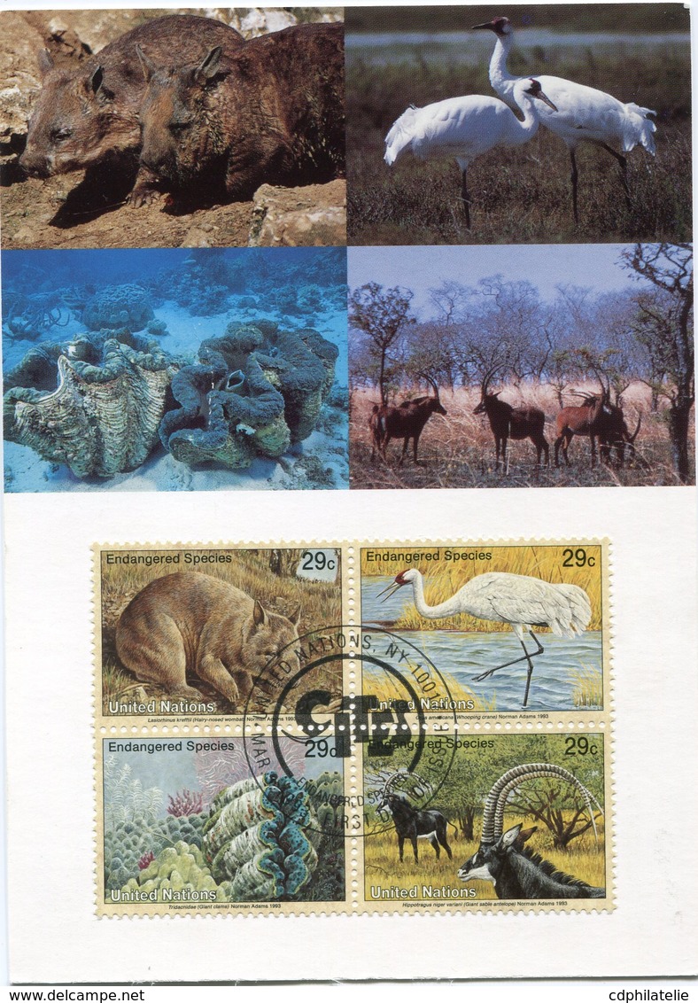 NATIONS UNIES NEW YORK CARTE MAXIMUM DES N°628/631 ESPECES ANIMALES MENACEES D'EXTINCTION OBL. ILLUSTREE N.Y. 03-03-93 - Maximum Cards