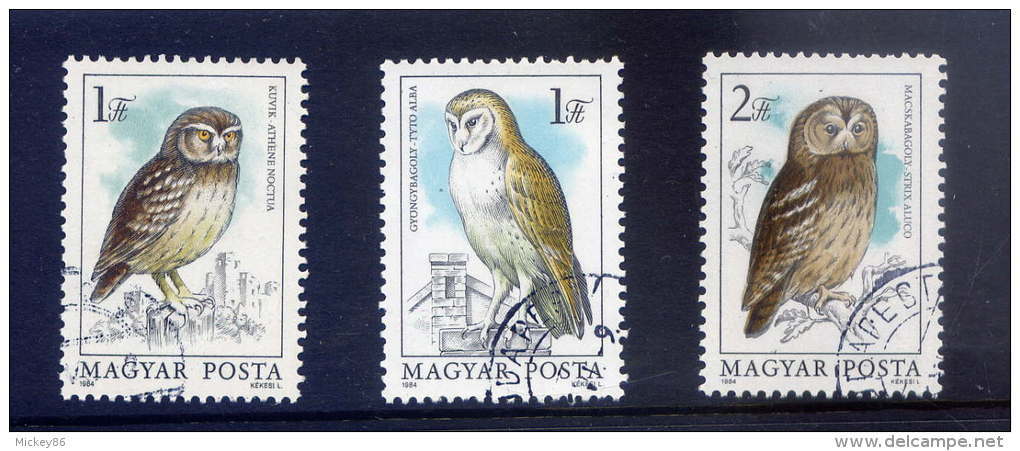 Hiboux Et Chouettes---HONGRIE---3 Timbres --Athene Noctua--- Tyto Alba---Strix Aluco - Hiboux & Chouettes