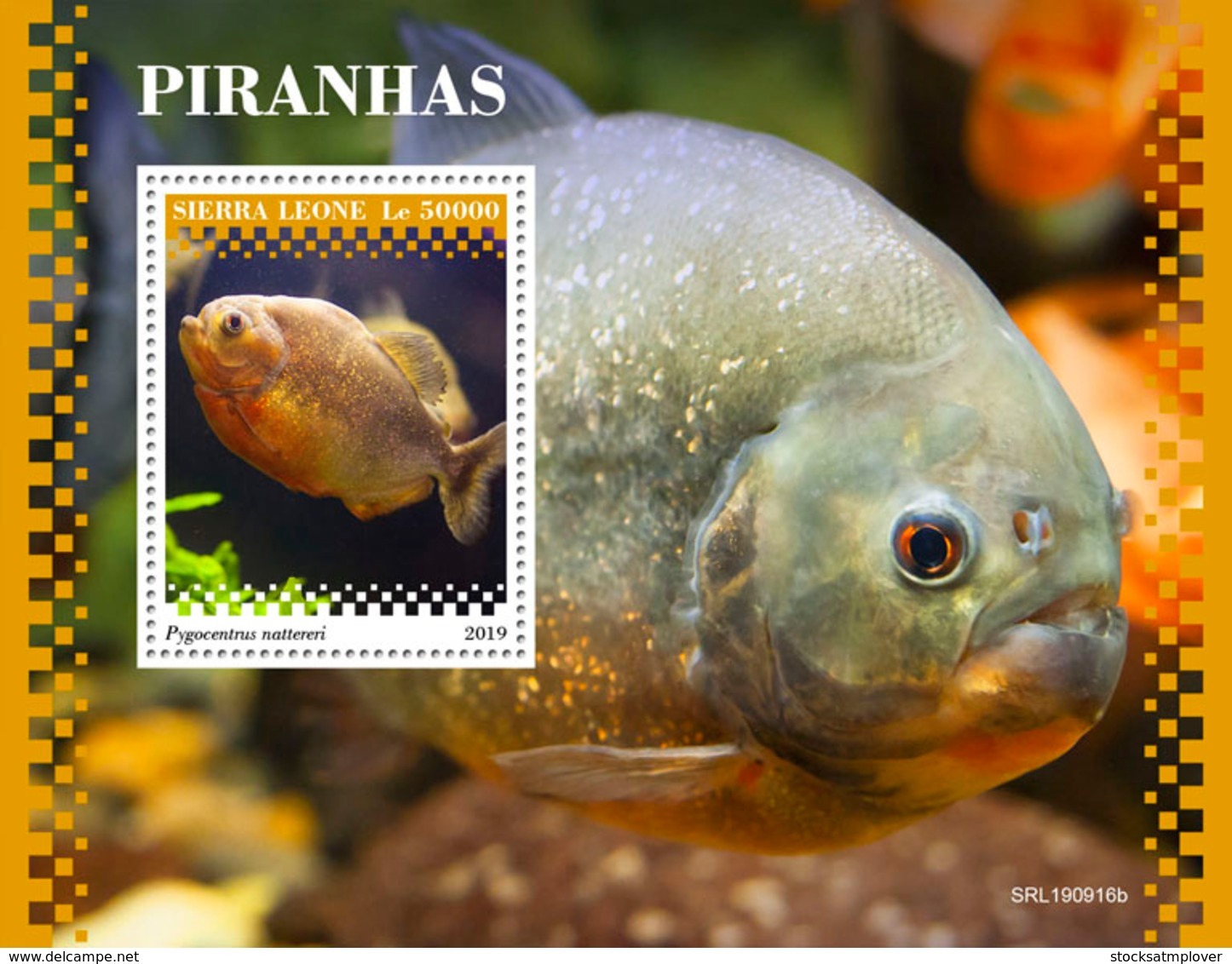 Sierra Leone 2019 Fauna  Piranhas ,fishes   S201911 - Sierra Leone (1961-...)