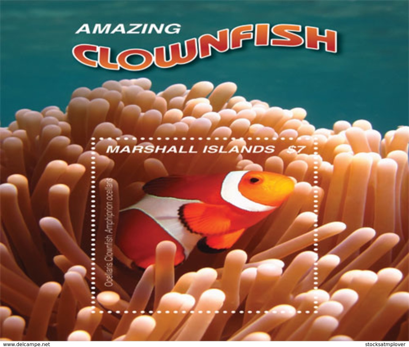 Marshall  Islands  2019  Fauna  Clownfish  I201903 - Marshall Islands