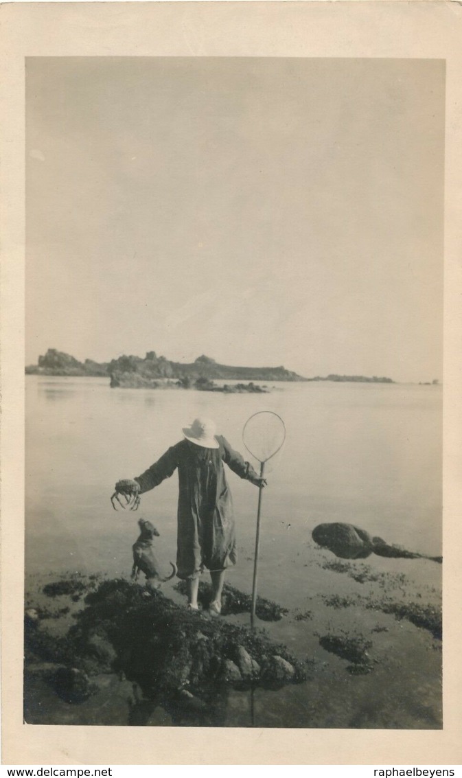 Snapshot Femme Pêche épuisette Chien Crabe Araignée De Mer Dog Woman Crab Sea - Anonymous Persons