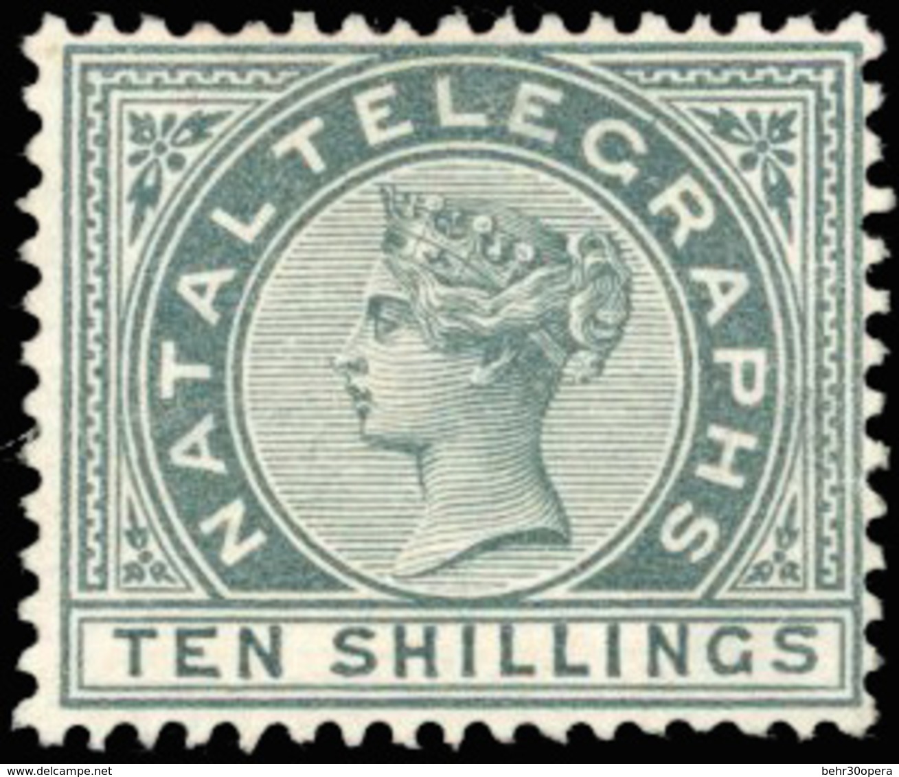 * N°513 - 2s. Violet + 5s. Bleu Surchargé ''SPECIMEN'' + 5s. Bleu BdeF + 10s. Ardoise. (SG#T5/T7 - 390£). TB. - Natal (1857-1909)