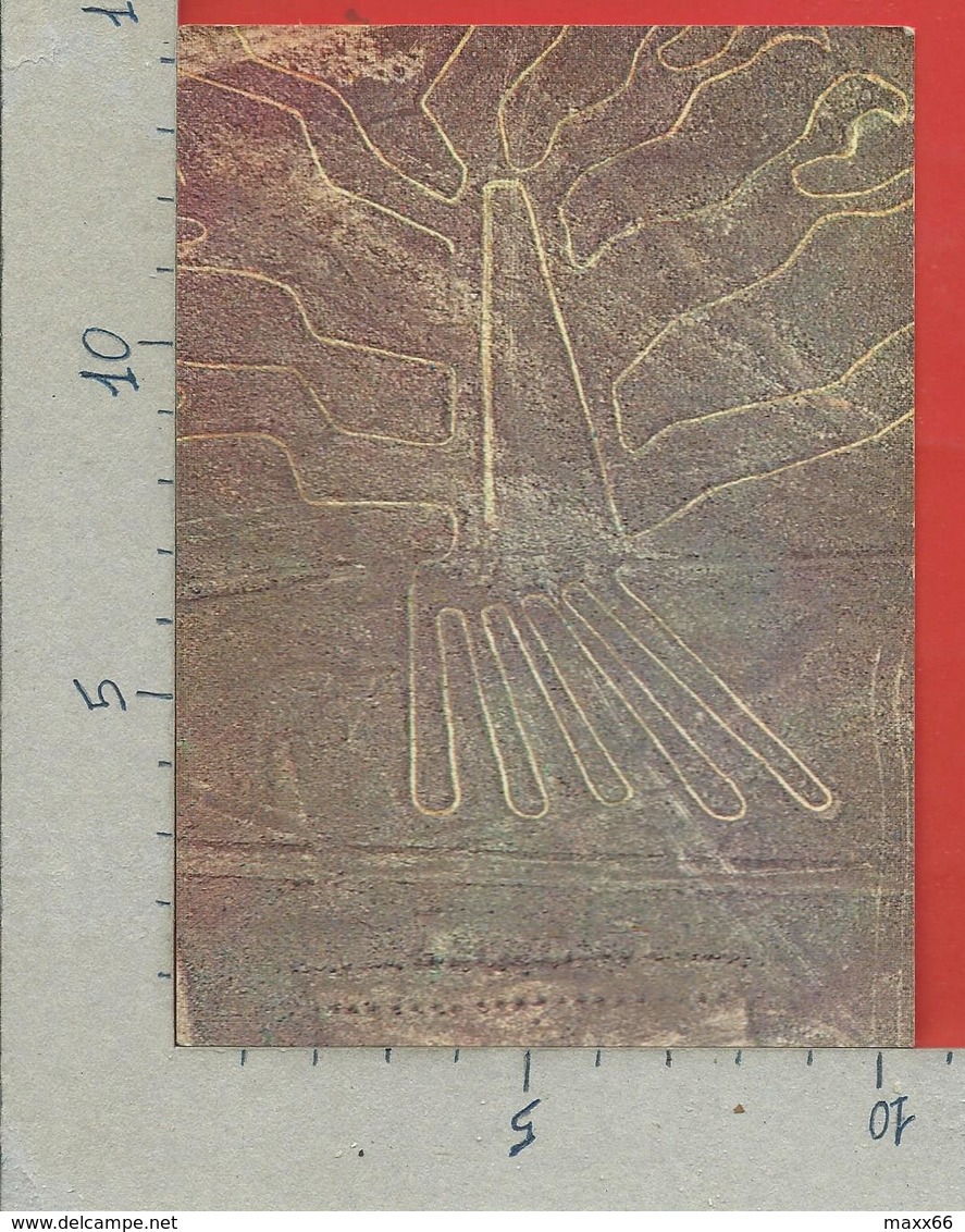 CARTOLINA NV PERU - Linee Di NAZCA - 10 X 15 - Perù