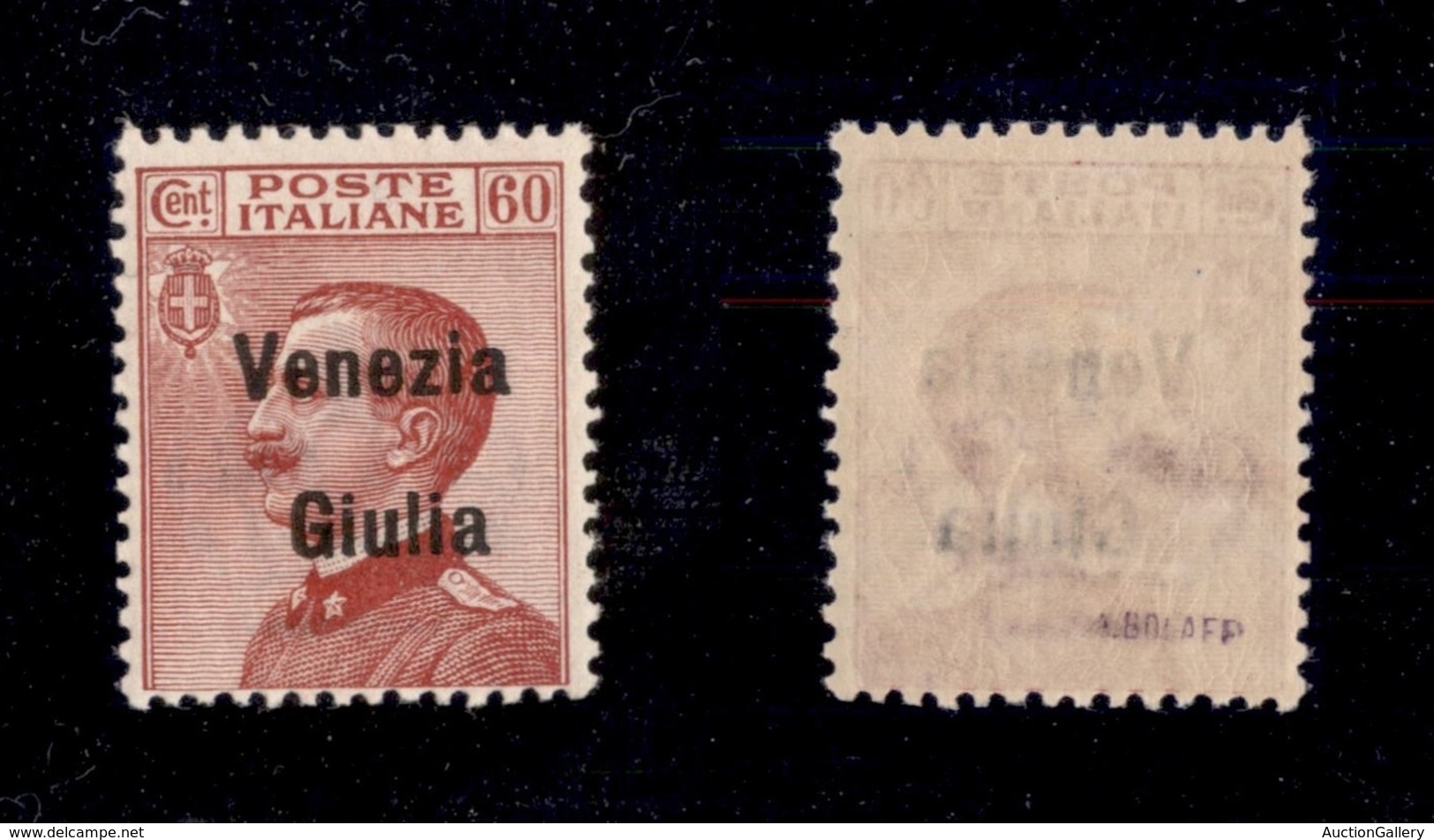 OCCUPAZIONI I GUERRA MONDIALE - VENEZIA GIULIA - 1918 - 60 Cent (28) - Gomma Integra (750) - Other & Unclassified