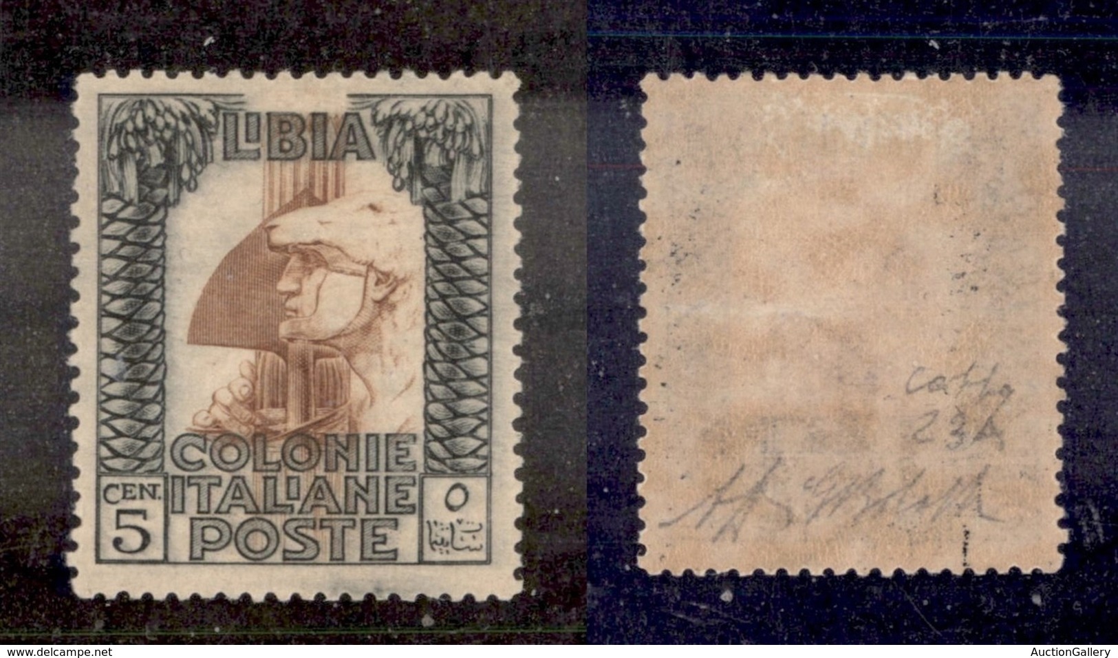 COLONIE - LIBIA - 1921 - Errore Di Colore - 5 Cent Pittorica (23A) - Gomma Originale - G.Bolaffi + Diena + Cert. Colla ( - Sonstige & Ohne Zuordnung