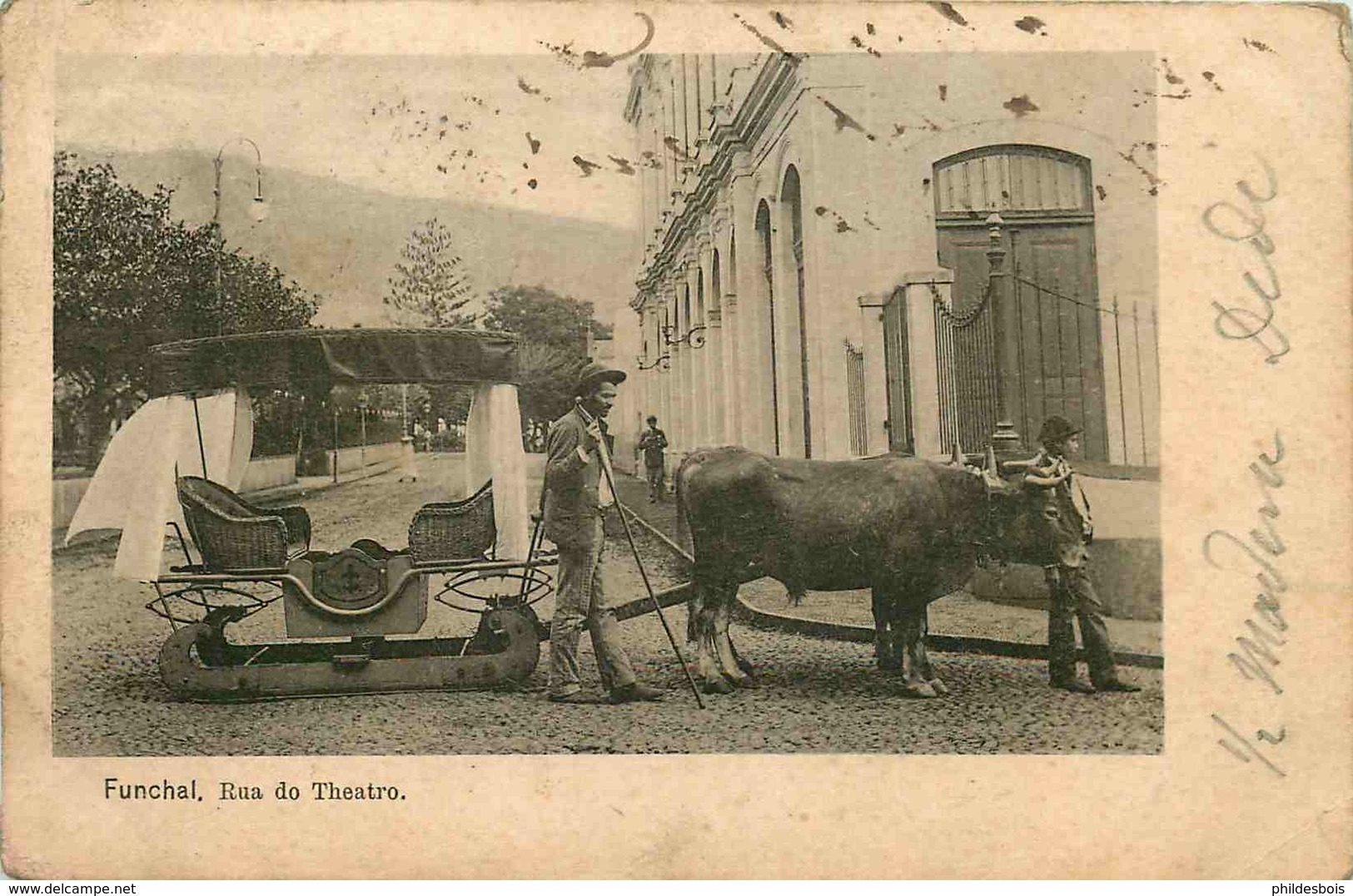 PORTUGAL  MADERE  FUNCHAL  Rua Do Theatro - Madeira