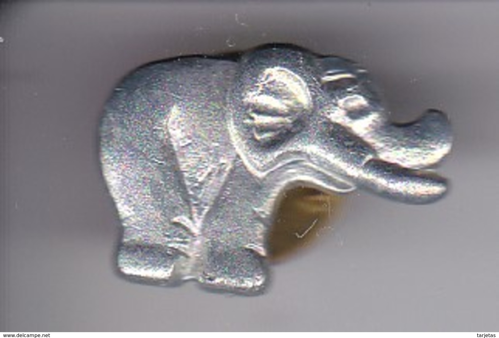 PIN DE UN ELEFANTE  (ELEPHANT) - Animales