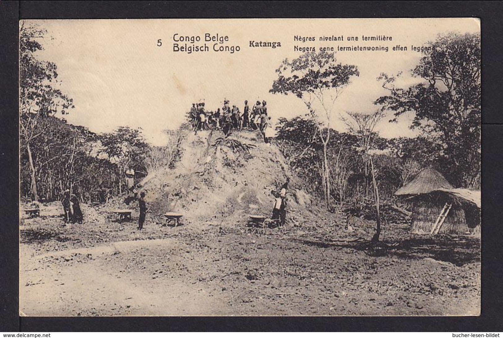 1920 - 10 C. Bild Ganzsache "Termitenhügel In Katanga" - Gebraucht - Autres & Non Classés