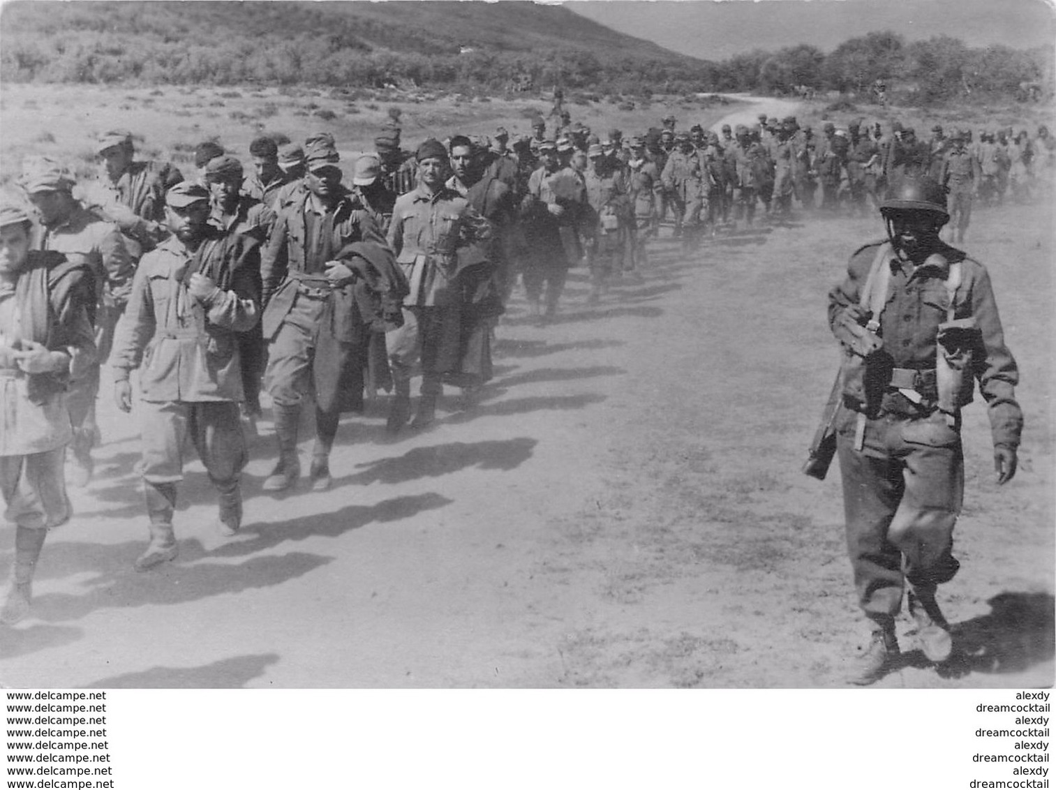 Photo Cpsm Cpm MILITARIA. Du Tchad à Tunis Prisonniers Allemands Et Italiens Avant La Prise De Bizerte - Guerra 1939-45