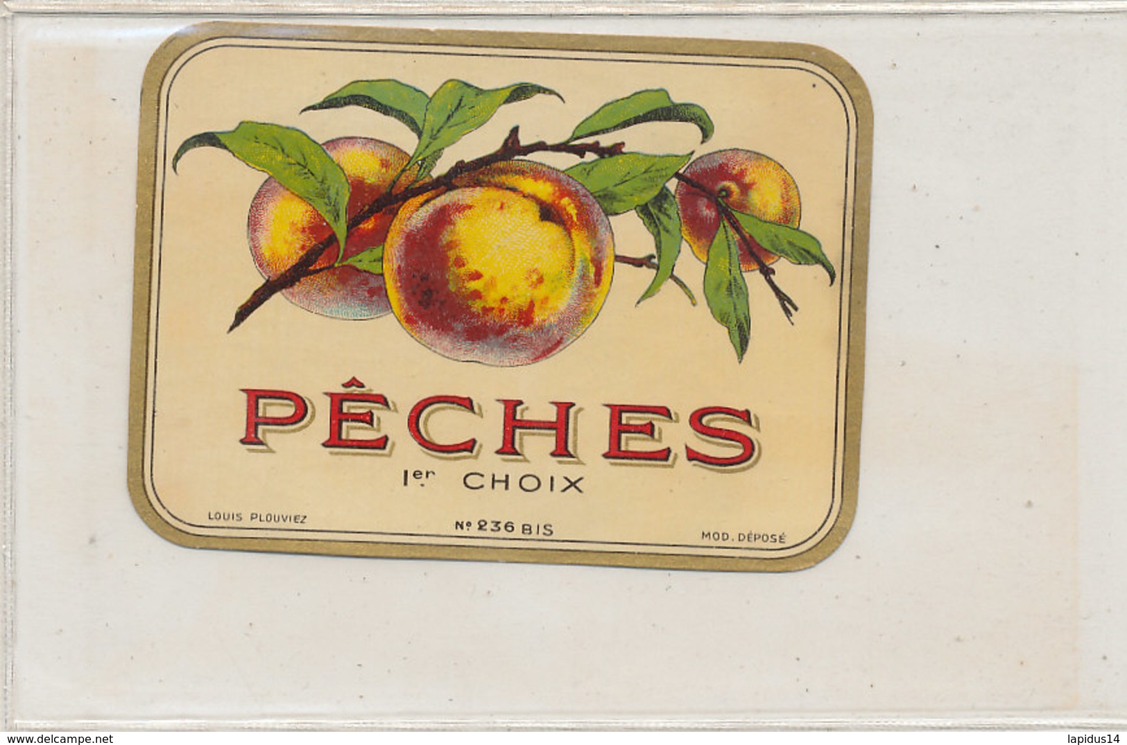 AN 840  / ETIQUETTE  - PECHES 1 Er CHOIX   N° 236 - Fruits Et Légumes
