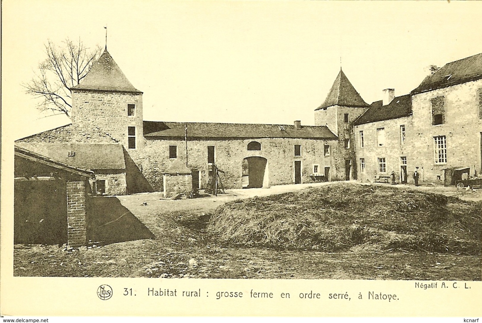 CP De Grosse Ferme En Ordre Serré , NATOYE . - Hamois