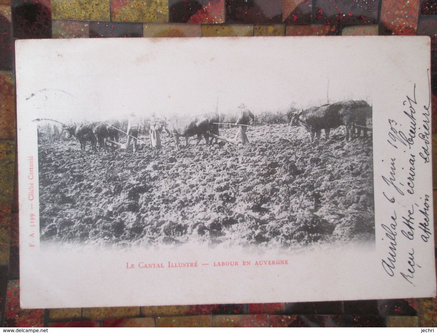 Le Cantal Illustre . Labour En Auvergne . Dos Simple 1903 - Autres & Non Classés