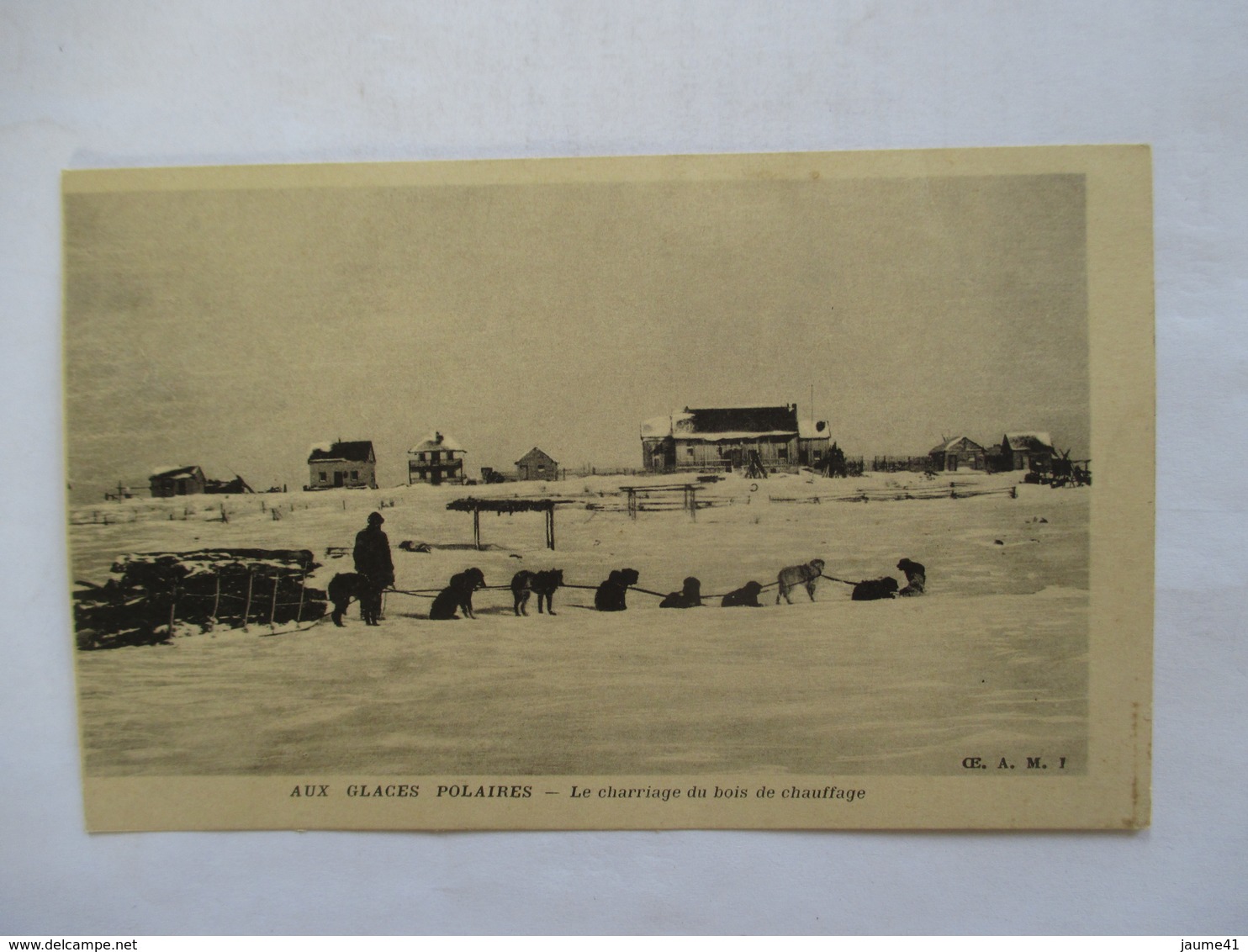 LAPONIE  -   AUX  GLACES  POLAIRES  - TRAINEAU  A  CHIENS  - LE CHARRIAGE  DU  BOIS .....        TTB - Autres & Non Classés