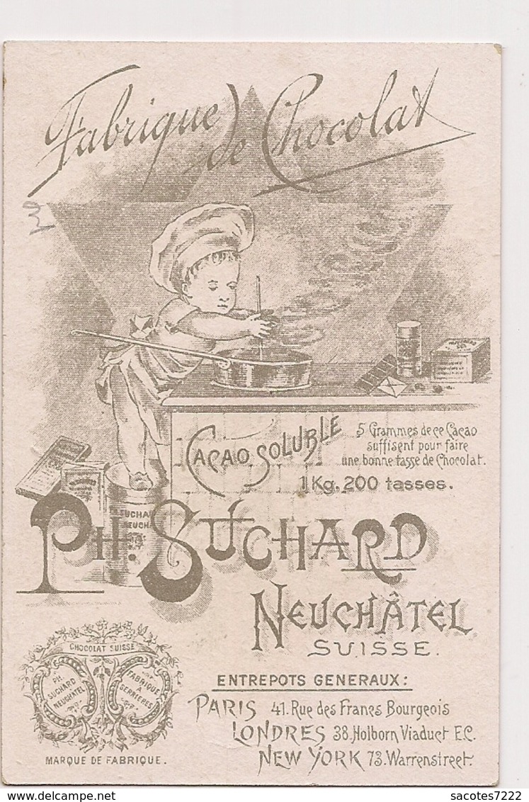 CHROMO   CHOCOLAT SUCHARD ENFANT PAPILLON -  Acherontia Atropos - - Suchard