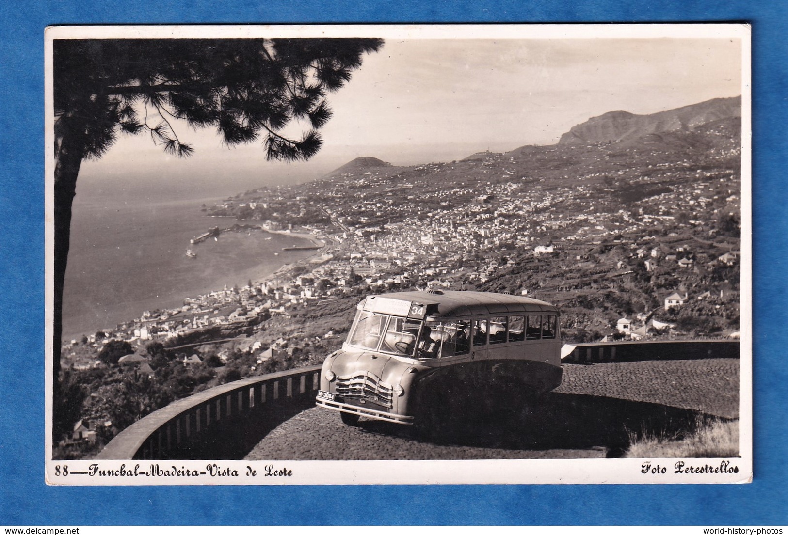 CPSM - FUNCHAL / MADEIRA - Bel Autobus / Autocar à Identifier - 1968 - Foto Perestrellos - Autobus & Pullman