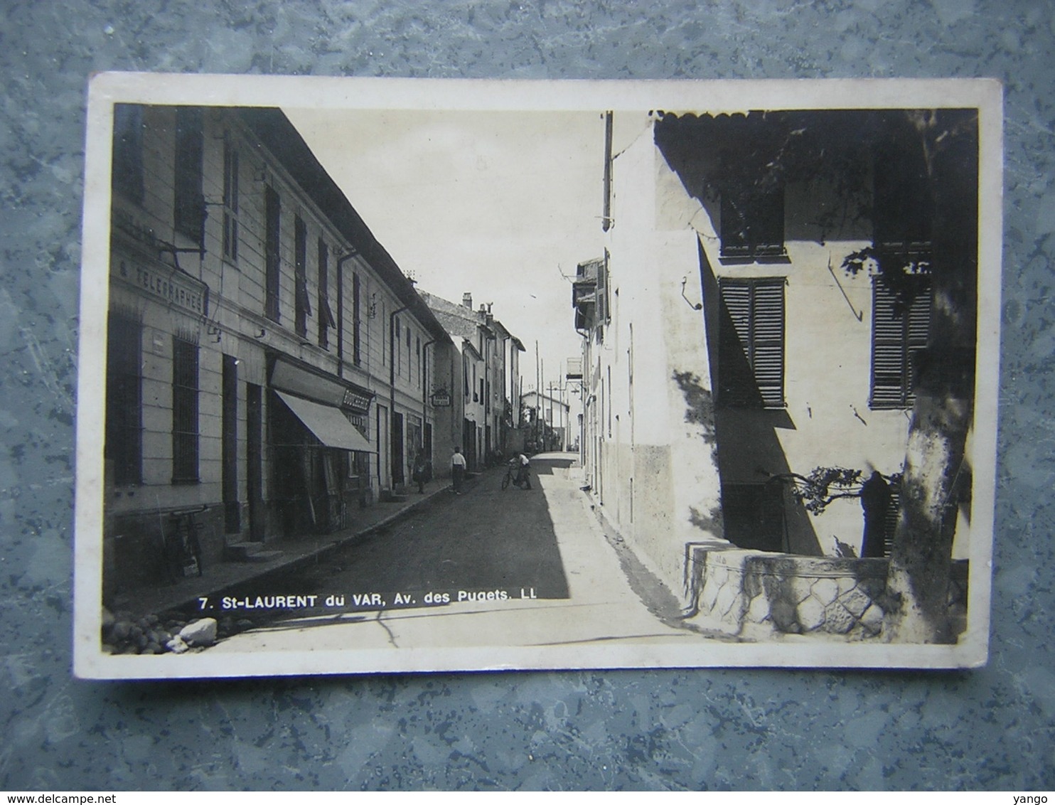 ST LAURENT DU VAR - AVENUE DES PUGETS - Autres & Non Classés