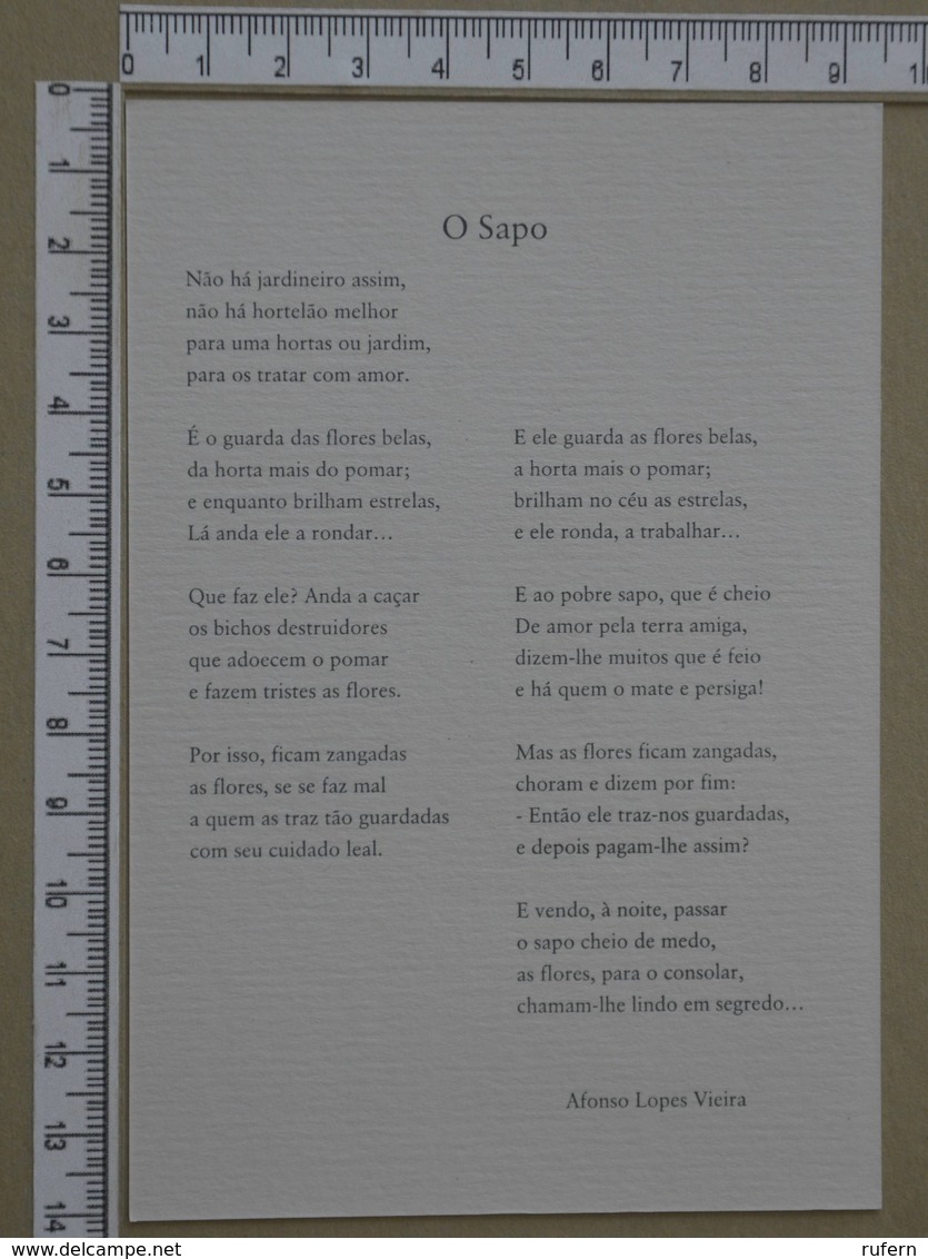 PORTUGAL - O SAPO -  ESCOLA BASICA D. DINIS - LEIRIA -   2 SCANS     - (Nº33279) - Leiria