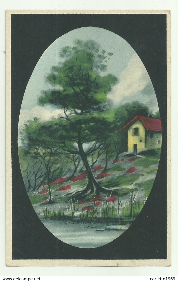 PAESAGGIO ILLUSTRATA VIAGGIATA  FP - 1900-1949