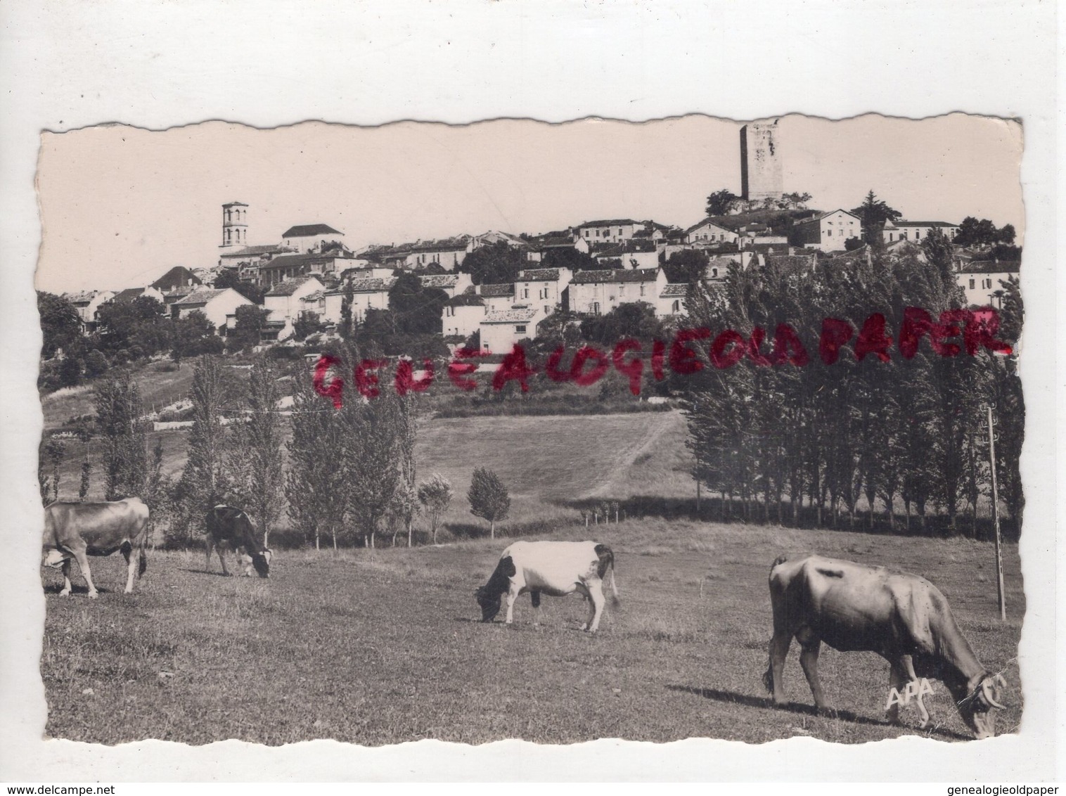 46 - MONTCUQ- VUE GENERALE 1959 - QUERCY LOT - Montcuq