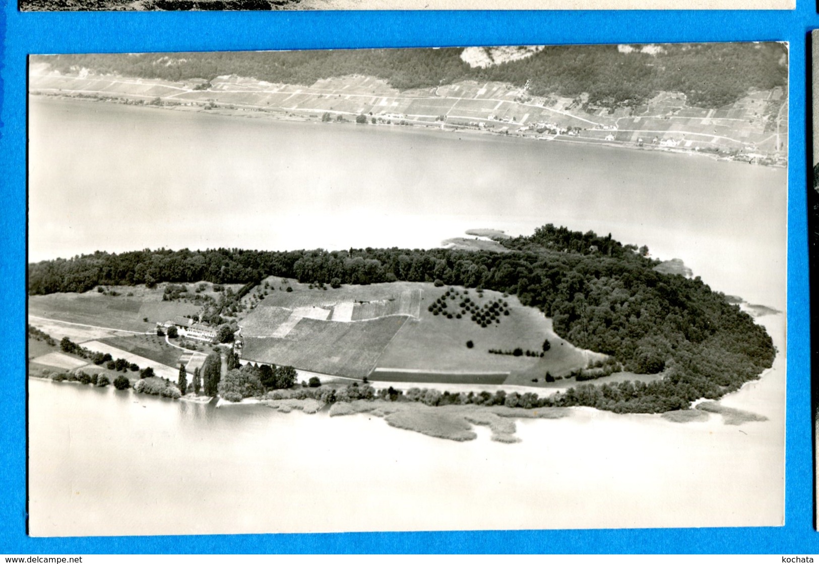 OLI166, St. Petersinsel, Bielersee, Lac De Bienne, île De St. Pierre, 5564, édit. O. Wvrsch Agno, Non Circulée - Bienne
