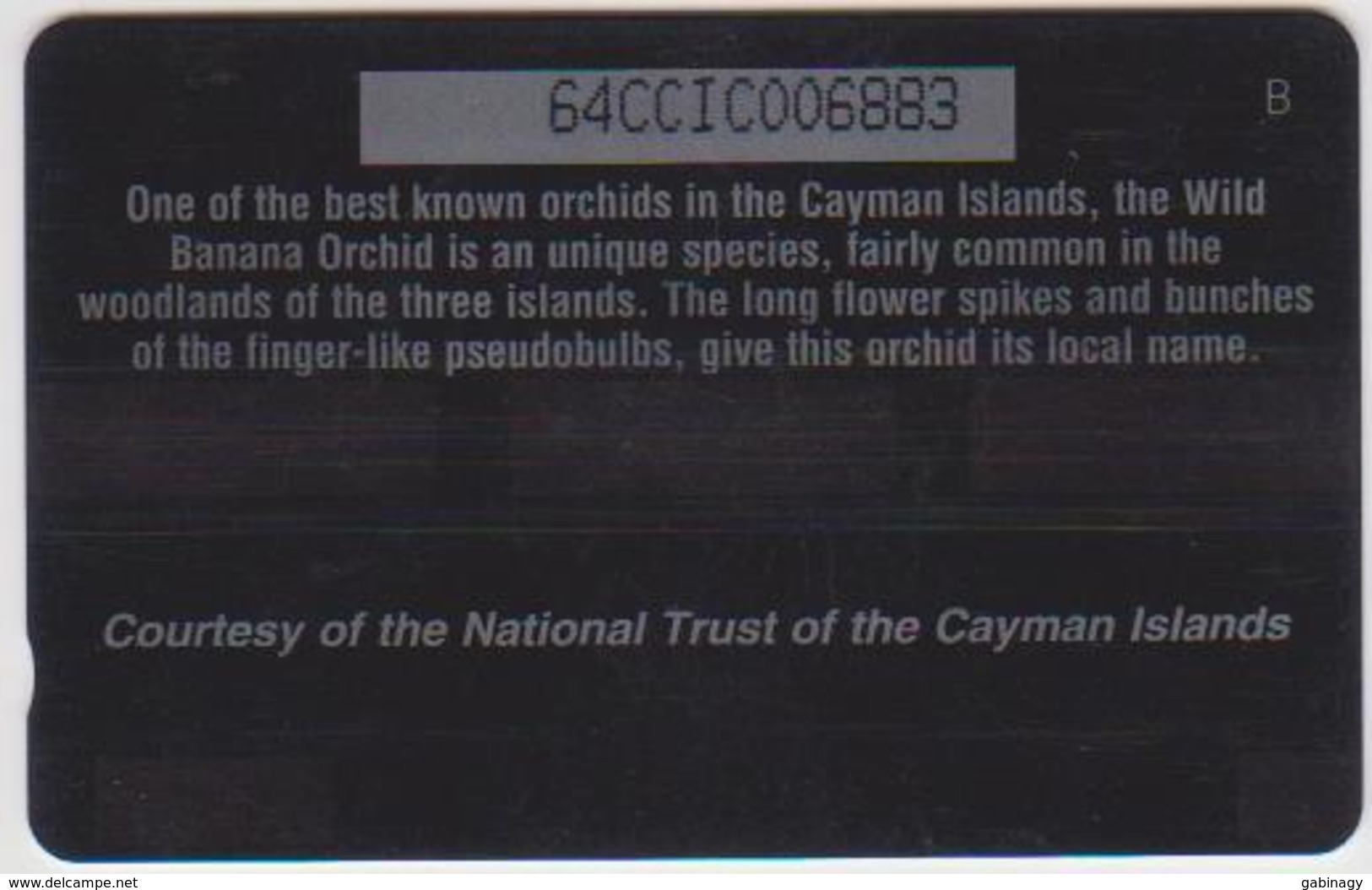 #07 - CARIBBEAN-065 - CAYMAN ISLANDS - ORCHID - Kaimaninseln (Cayman I.)