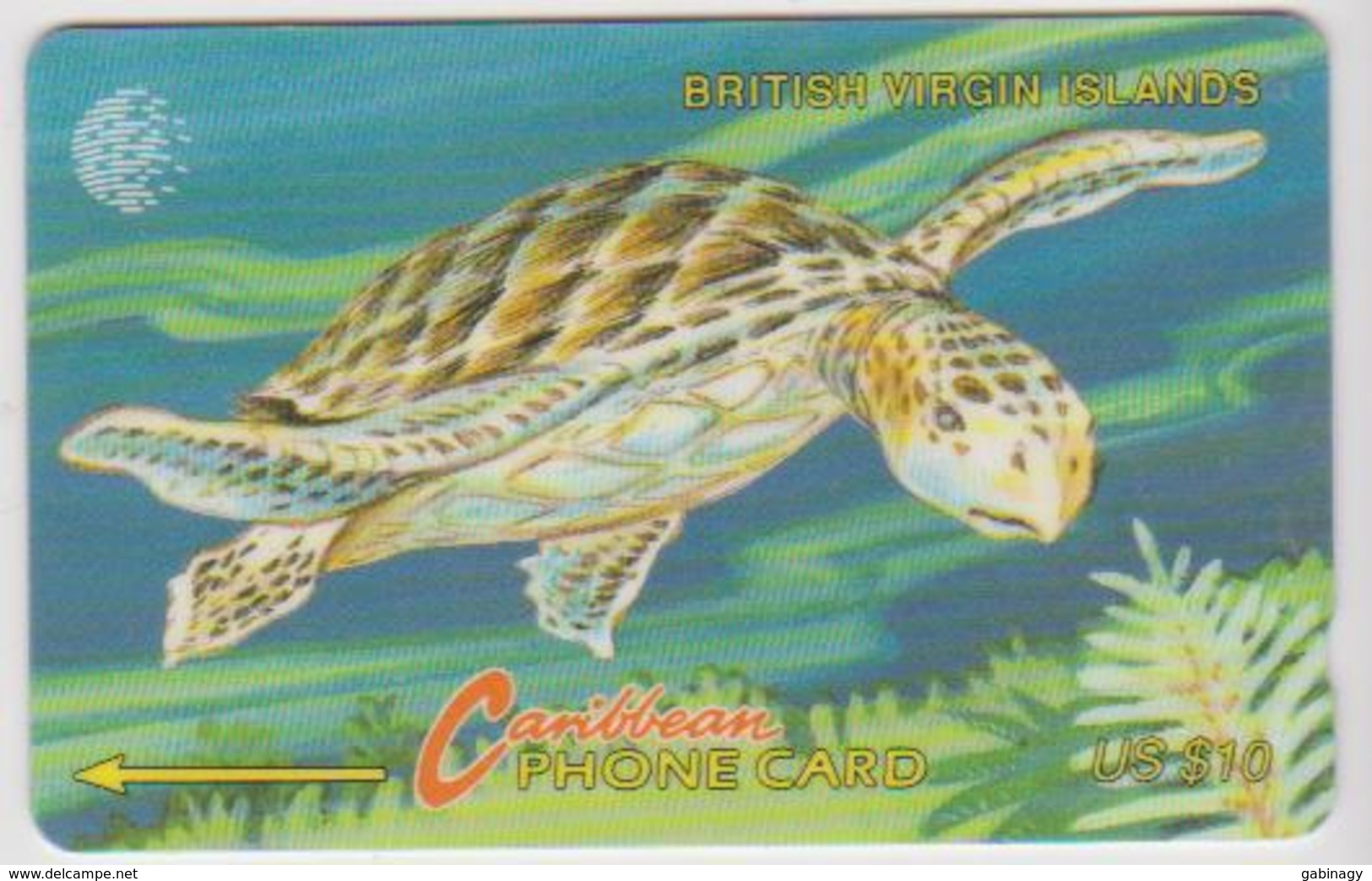 #07 - CARIBBEAN-089 - BRITISH VIRGIN ISLANDS - TURTLE - Isole Vergini