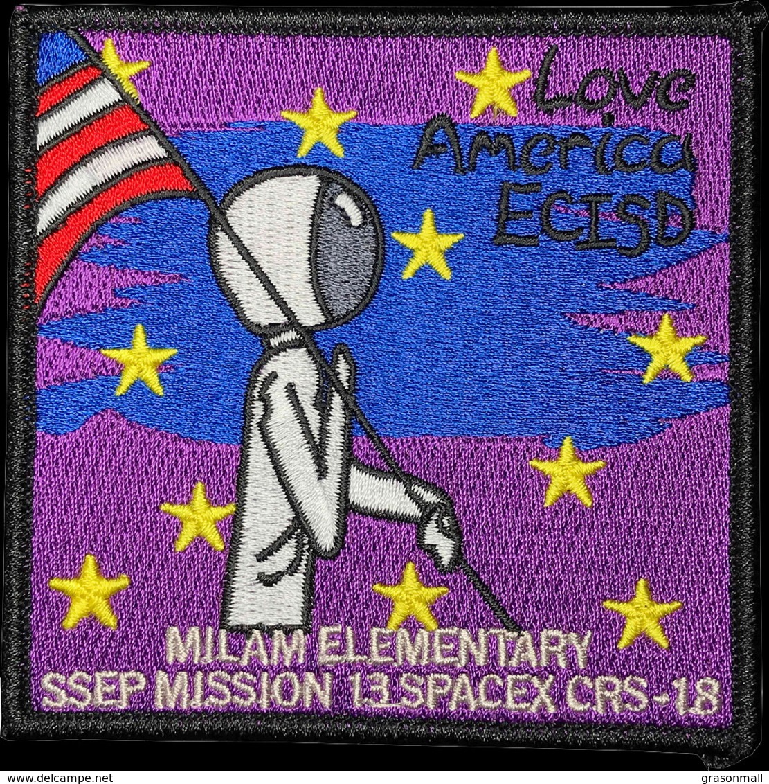 ISS Expedition 60 Dragon Spx-18 SSEP Mission 13 Spacex CRS-18 Milam Elementary International Space Station Patch - Patches