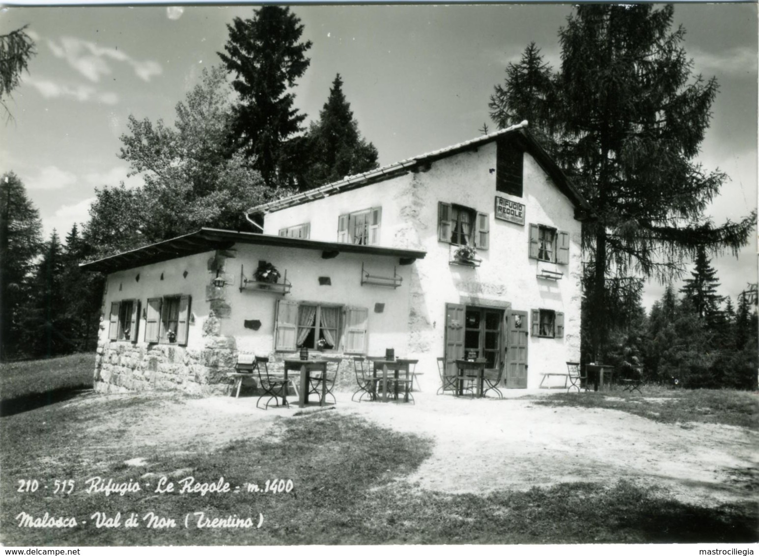 MALOSCO  TRENTO  Val Di Non  Rifugio Le Regole  Fisarmonica Sulla Panca - Trento