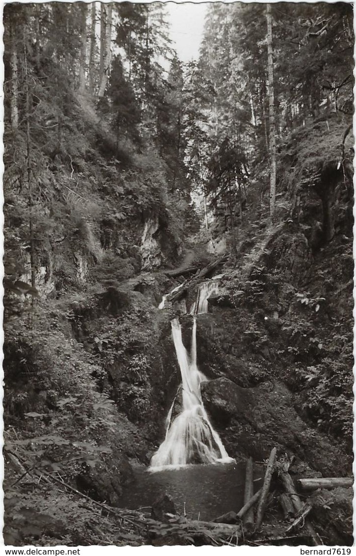 Allemagne Bonndorf Im Sudl  Hoschwarwald  850-950 M  In Der Lothenbach Klamm - Bonndorf