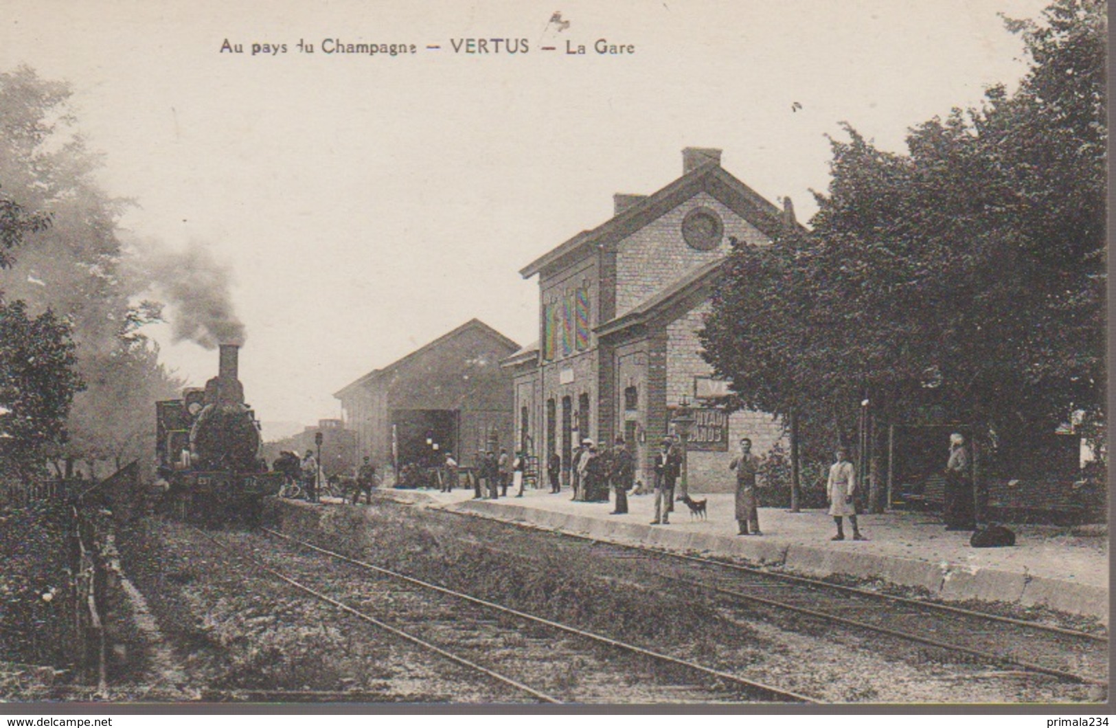 VERTUS - LA GARE - Vertus