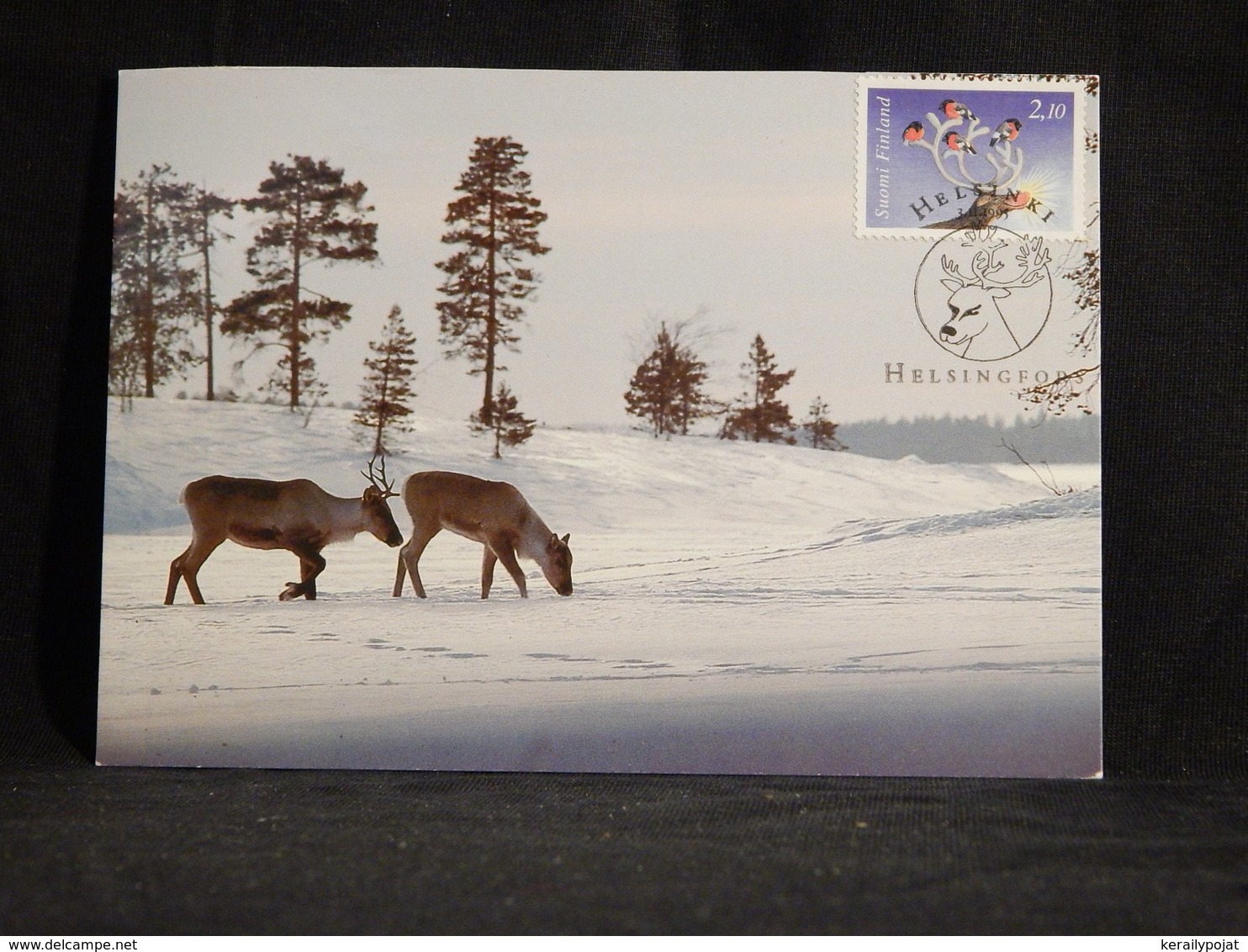 Finland 1995 Reindeer Maxicard__(U-2913) - Maximum Cards & Covers