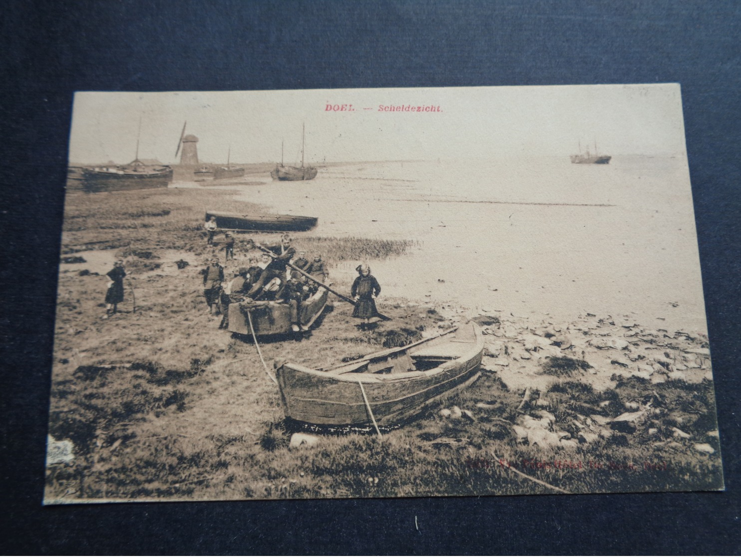 Belgique  België  ( 2045 )    Doel ( Beveren )  Scheldezicht - Beveren-Waas