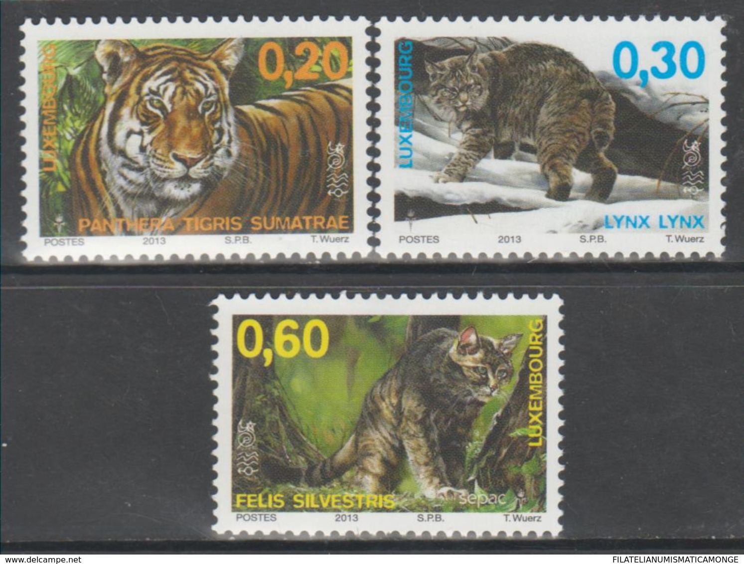 Luxemburgo 2013  Yvert Tellier Nº  1922/24 ** Fauna: Sepac Y Felinos (3v) - Nuevos