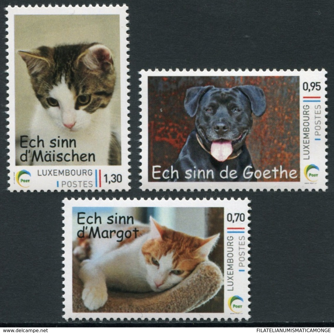 Luxemburgo 2016  Yvert Tellier Nº  2036/38 ** Refugio De Animales:Gatos Y Perro - Ungebraucht