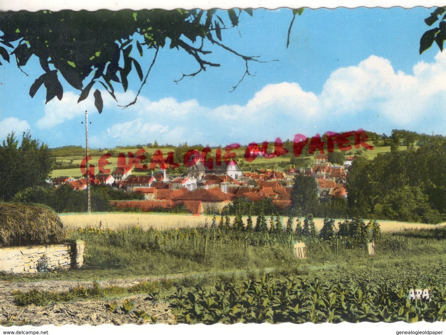 46 -SALVIAC - VUE GENERALE  - QUERCY  LOT - Salviac