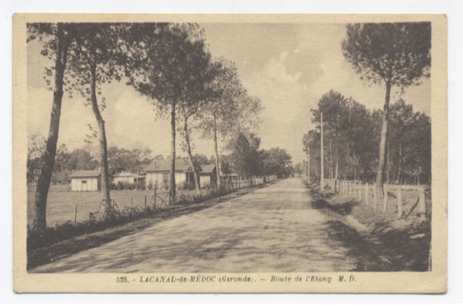 33--LACANAU MEDOC ROUTE DE L'ETANG -RECTO /VERSO B87 - Autres & Non Classés