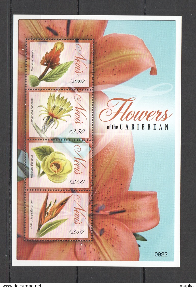 A386 2009 NEVIS FLOWERS OF THE CARIBBEAN FLORA 1KB MNH - Sonstige & Ohne Zuordnung