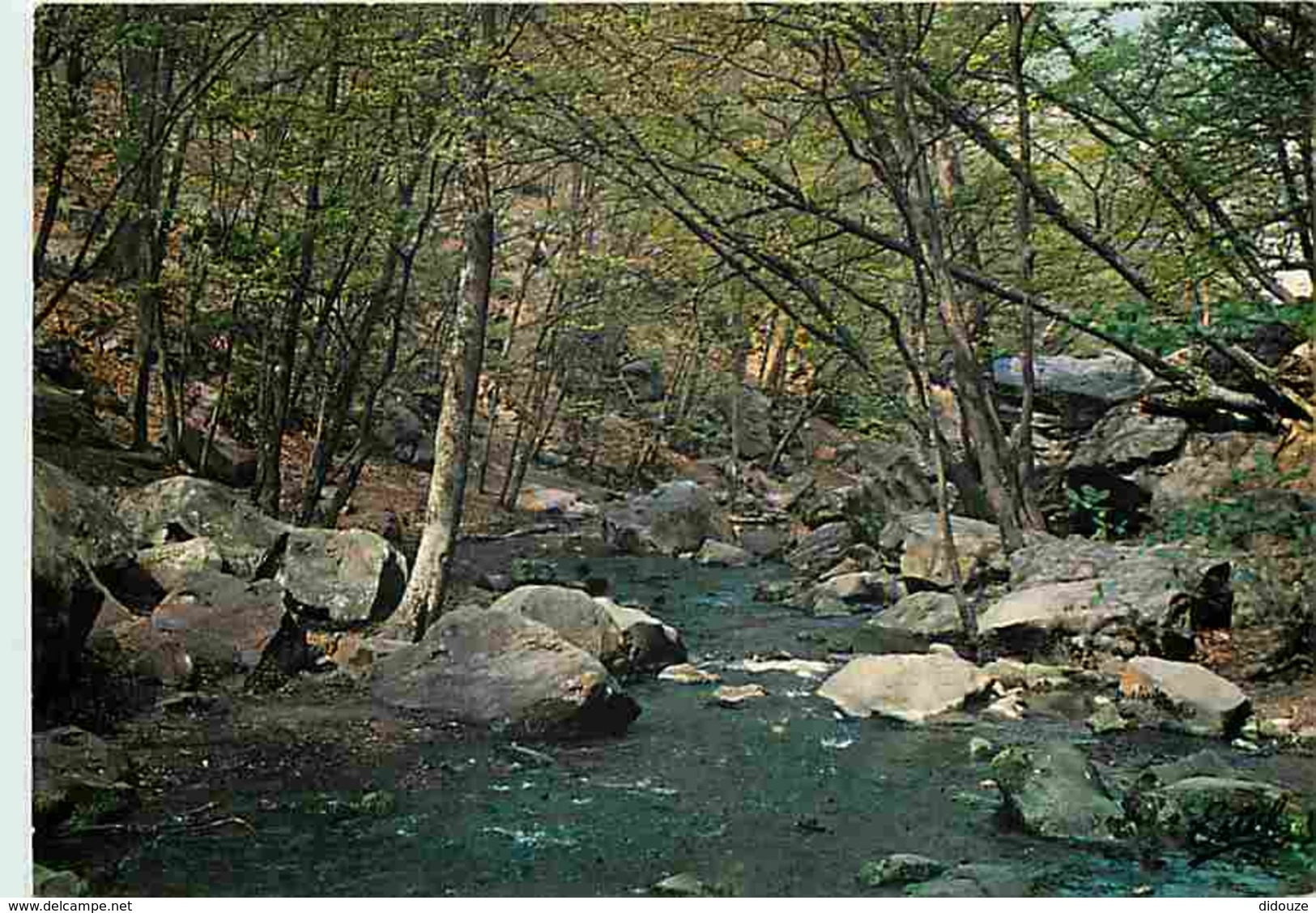 78 - Chevreuse - La Vallée De Chevreuse - Les Bouillons Du Rû Des Vaux Au Fond Du Ravin - Voir Scans Recto-Verso - Chevreuse