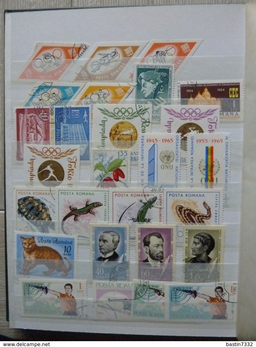 World,Motief/Motiv/Thematics/Topics/East-Europe in 5 stockbooks+approx. 550 grams off paper stamps!