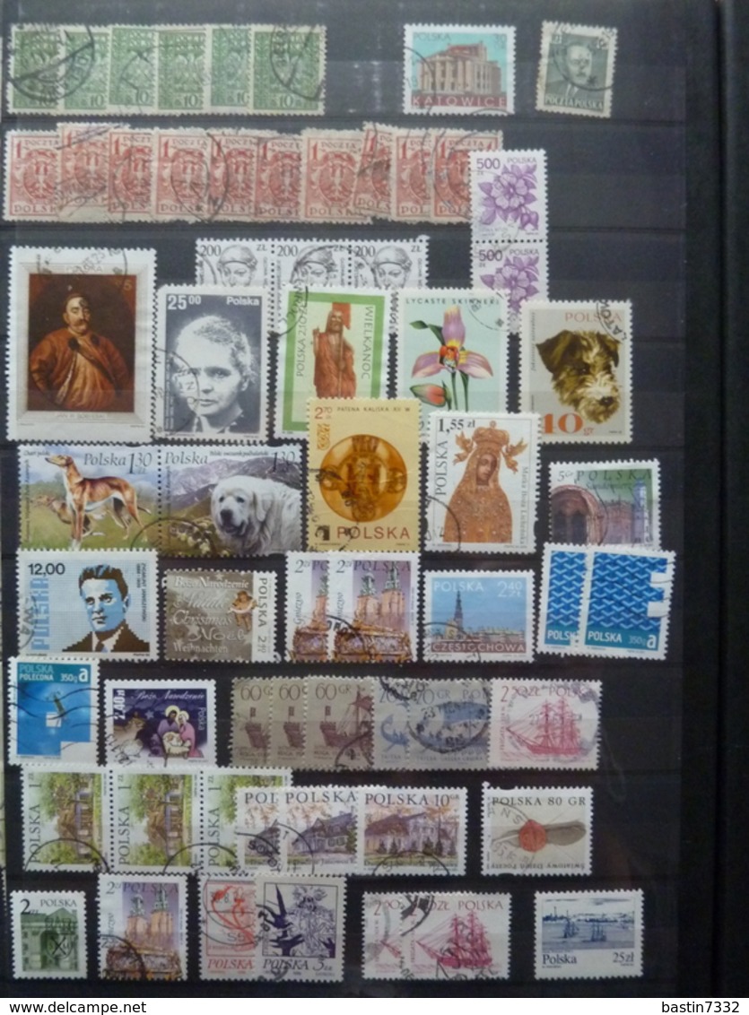 World,Motief/Motiv/Thematics/Topics/East-Europe in 5 stockbooks+approx. 550 grams off paper stamps!