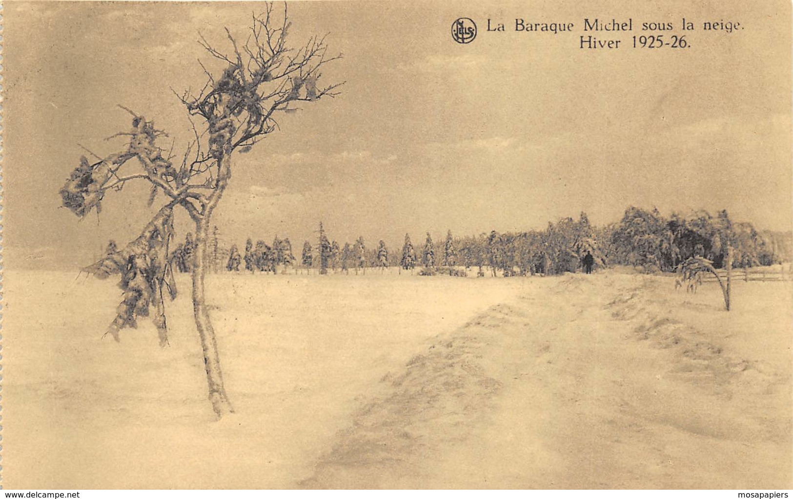 Baraque Michel Sous La Neige - Waimes - Weismes