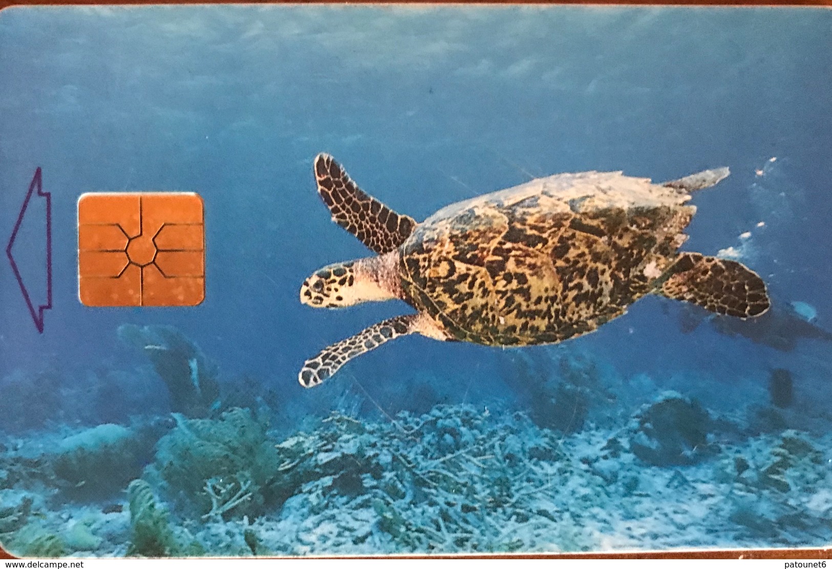 ANTILLES NEERLANDAISES - BONAIRE - Turtle  -  60 Ut. - Antillas (Nerlandesas)