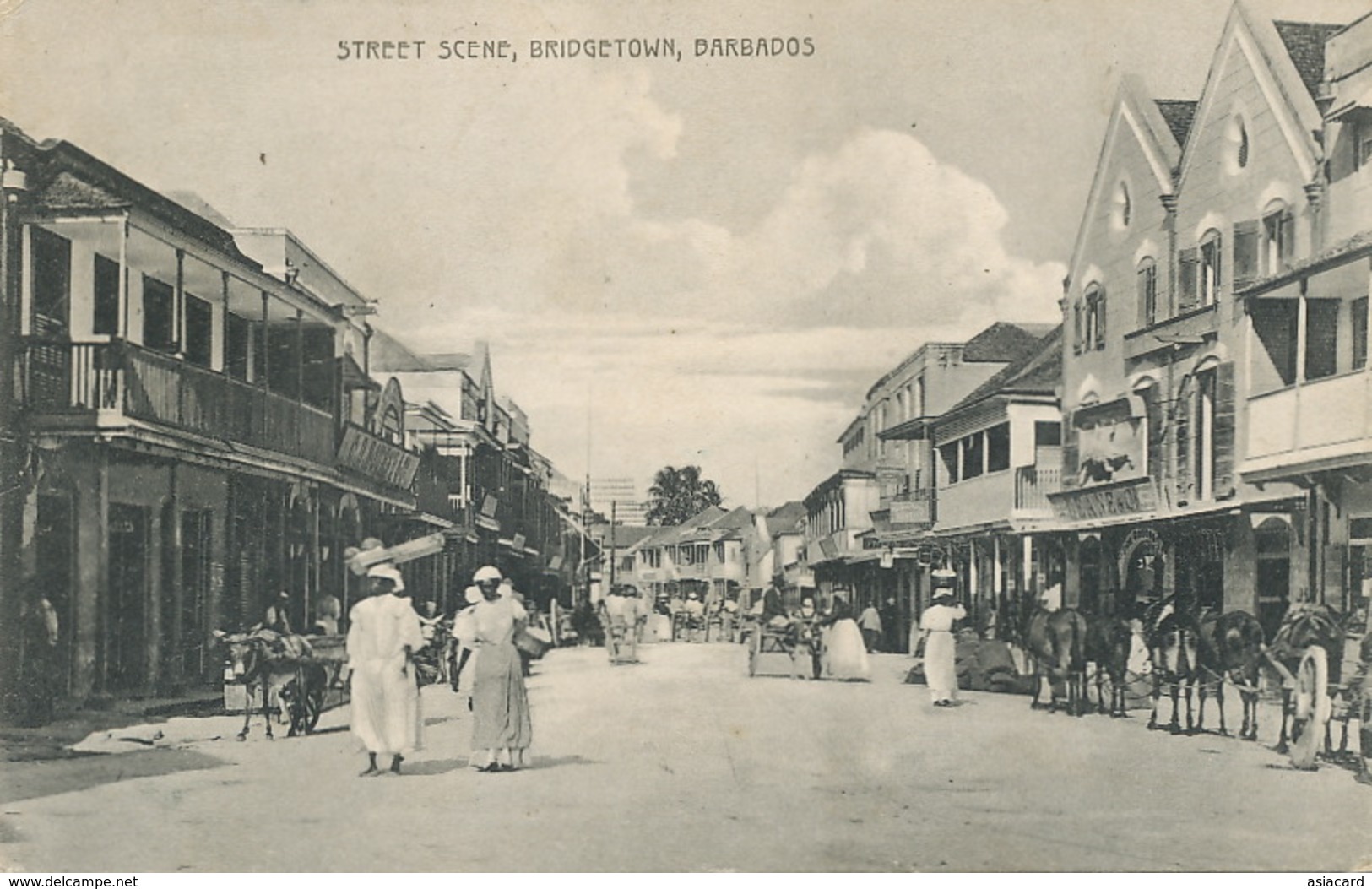 Barbados  Street Scene Bridgetown   .Edit Johnson  Attelage Ane . Donkey Cart - Barbades