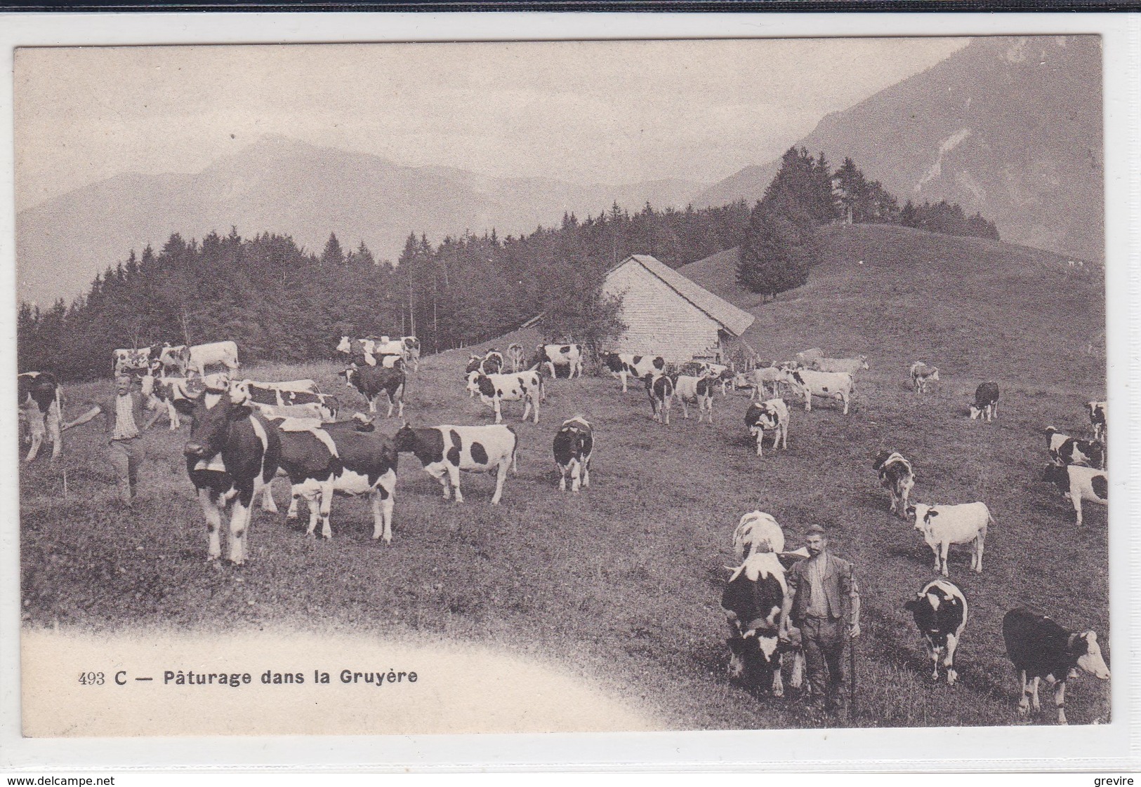 Enney,  Chalet "Le Mont". Armaillis Et Vaches Au Pâturage - Enney