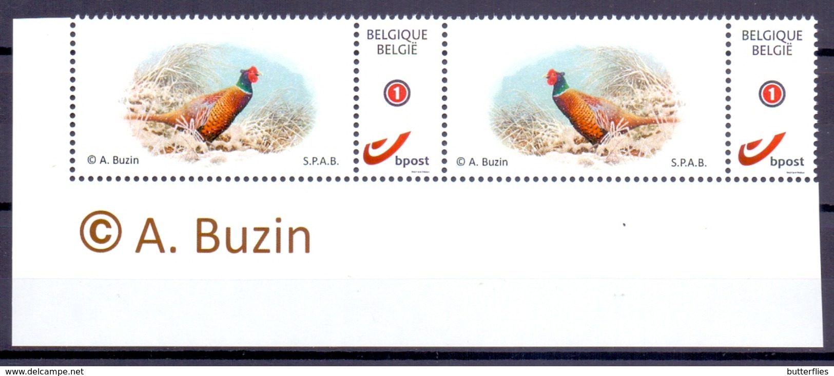 Belgie - 2019 - OBP  - **  Duostamp Fazant - S.P.A.B. - A. Buzin ** - 1985-.. Birds (Buzin)